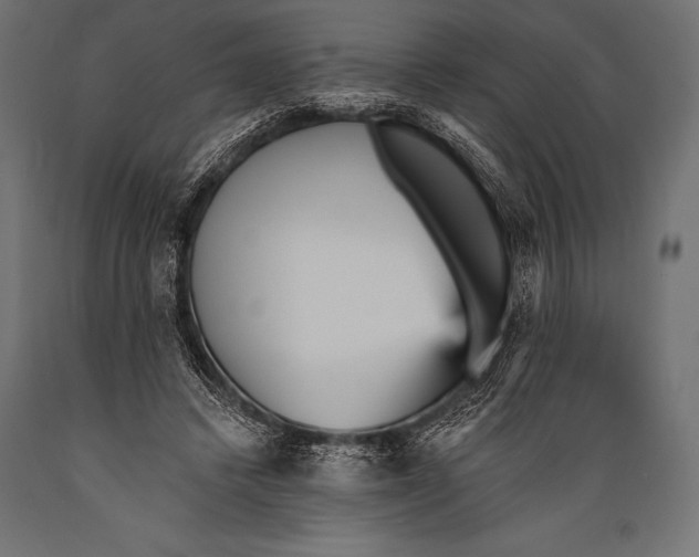 X0000088870448200706291544
