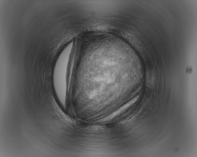 X0000088870449200706291544