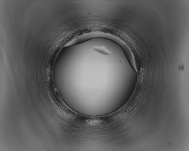 X0000088870452200706291544