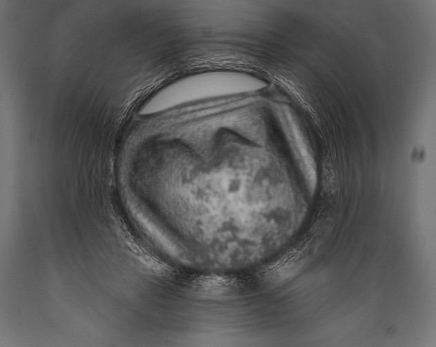 X0000088870453200706291544