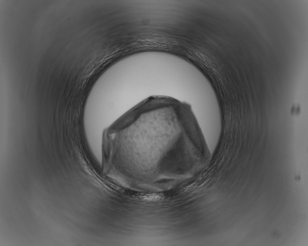 X0000088870456200706291544