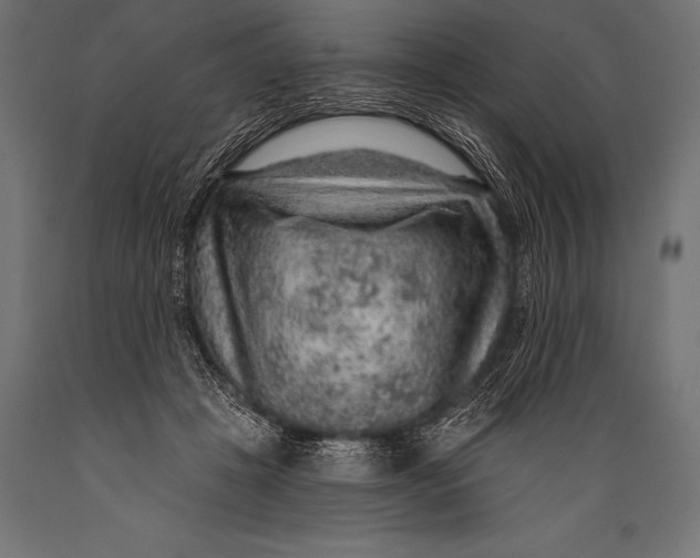 X0000088870457200706291544