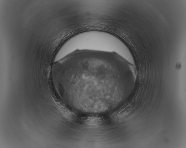 X0000088870458200706291544