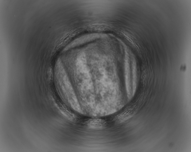 X0000088870459200706291544