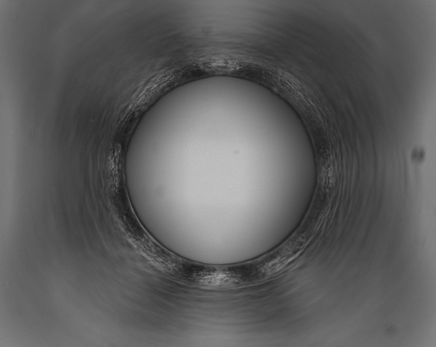 X0000088870460200706291544