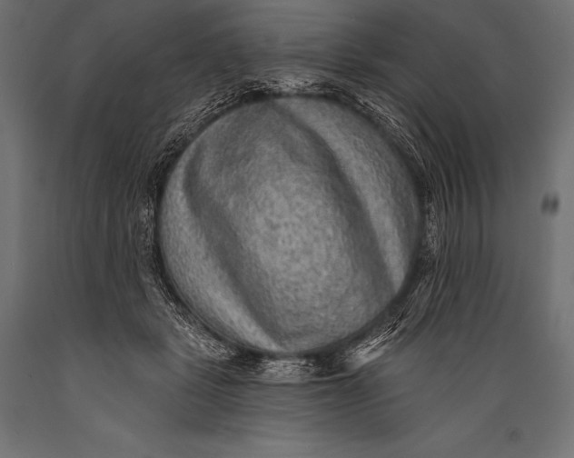 X0000088870461200706291544