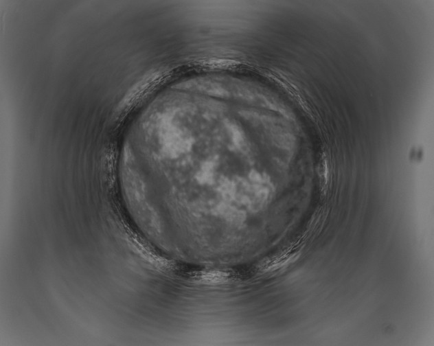 X0000088870462200706291544