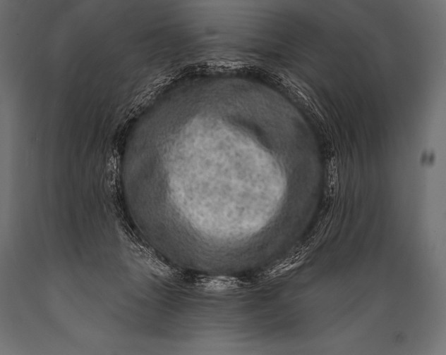 X0000088870463200706291544