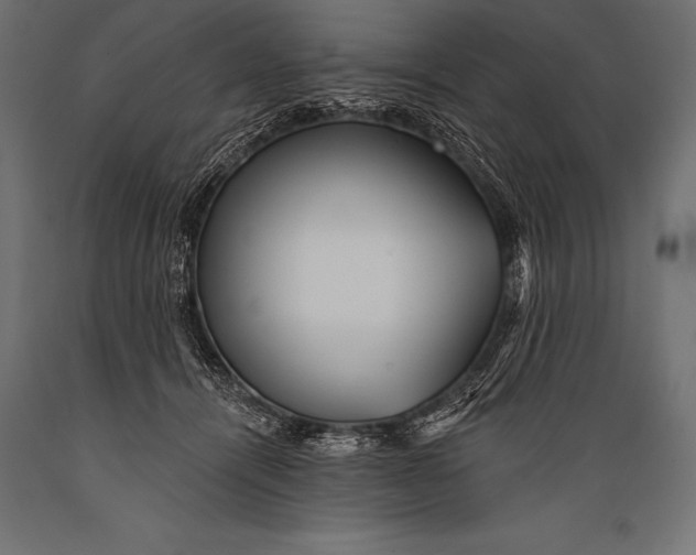 X0000088870464200706291544