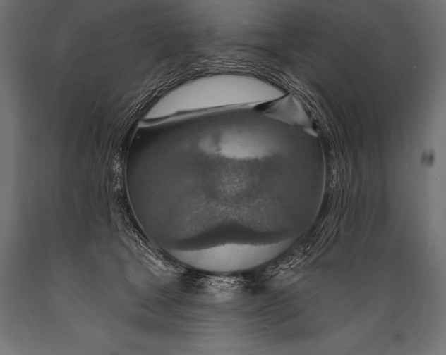 X0000088870465200706291544
