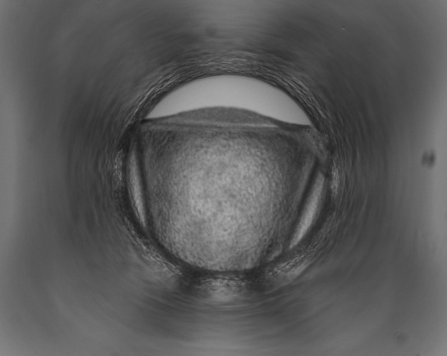 X0000088870466200706291544
