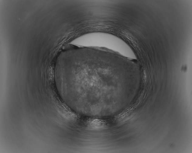 X0000088870467200706291544