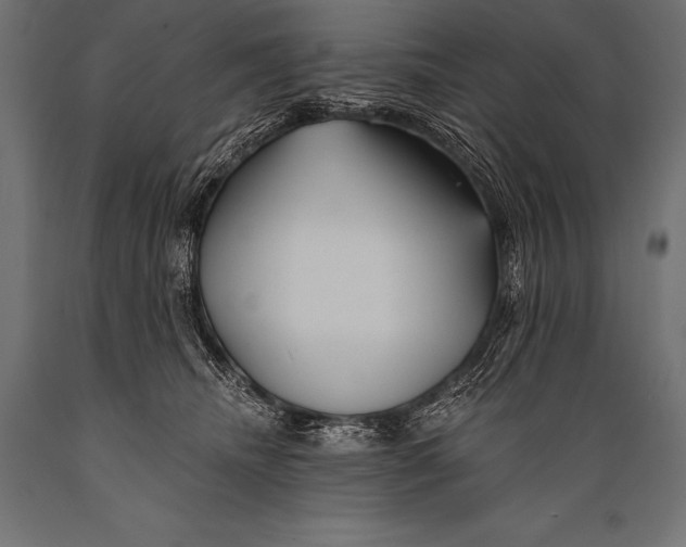 X0000088870468200706291544