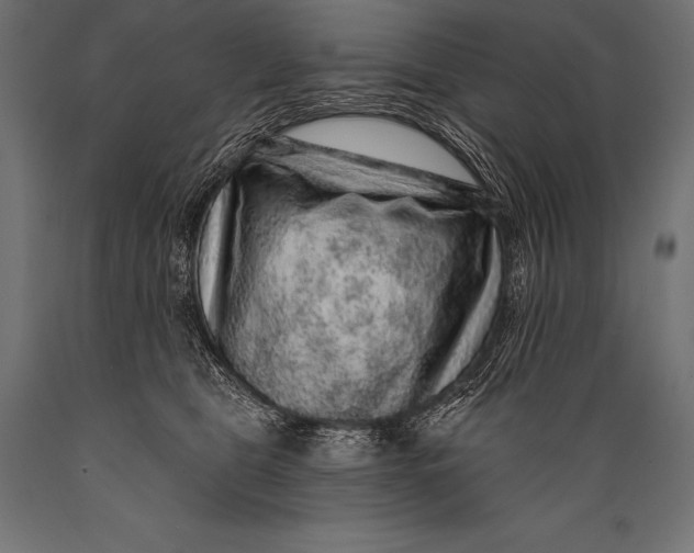 X0000088870469200706291544