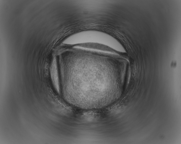 X0000088870470200706291544