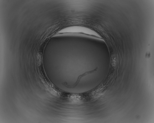 X0000088870471200706291544