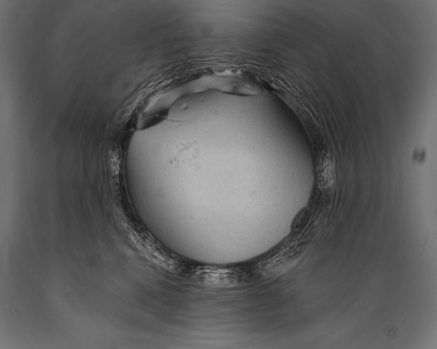 X0000088870472200706291544