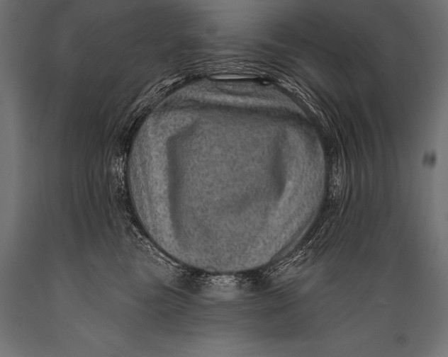 X0000088870473200706291544