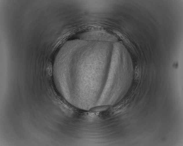 X0000088870474200706291544
