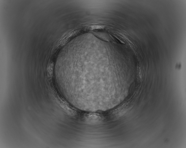 X0000088870475200706291544