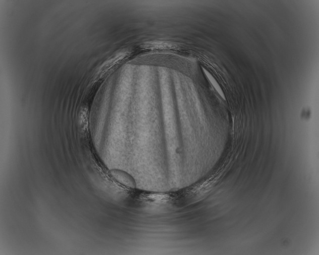 X0000088870478200706291544