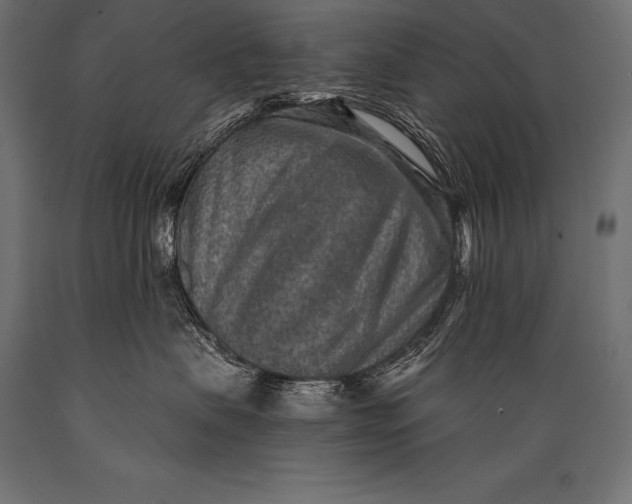 X0000088870479200706291544