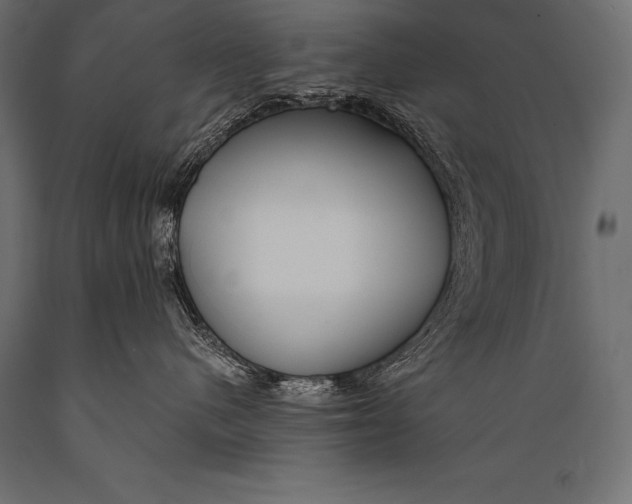 X0000088870480200706291544