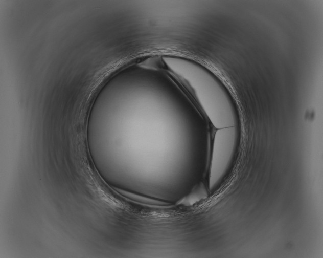 X0000088870481200706291544