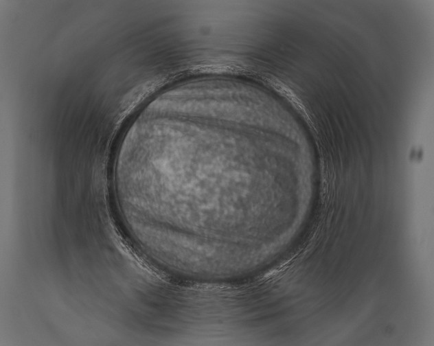 X0000088870482200706291544