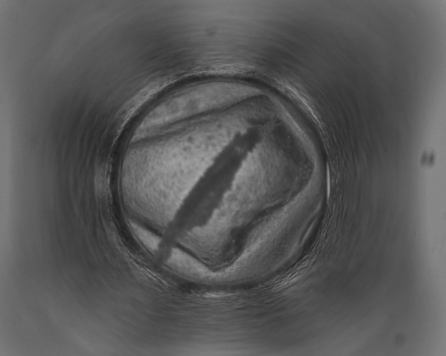X0000088870483200706291544