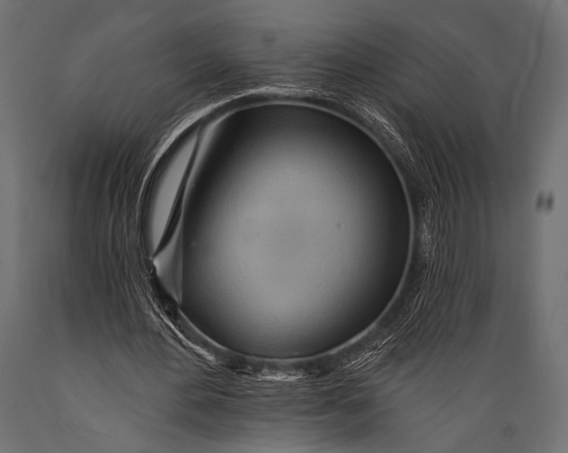X0000088870484200706291544
