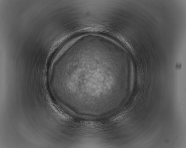 X0000088870486200706291544