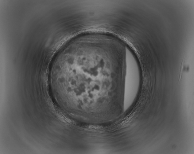 X0000088870487200706291544