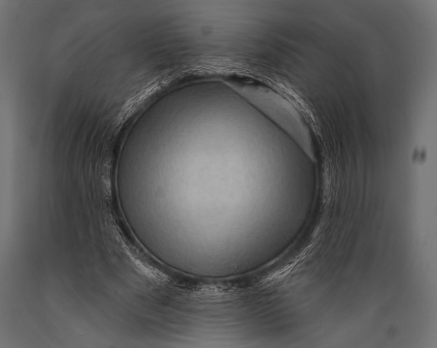 X0000088870489200706291544