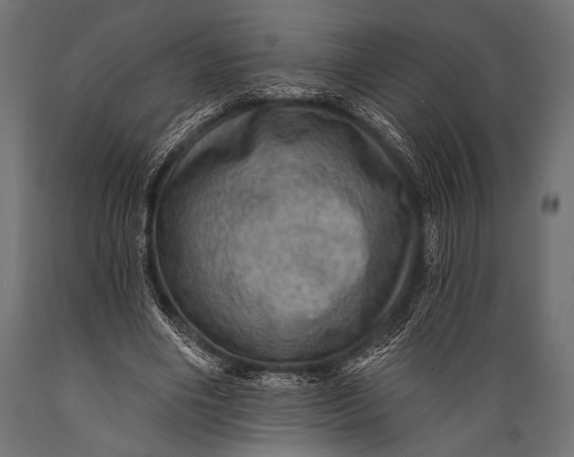X0000088870490200706291544