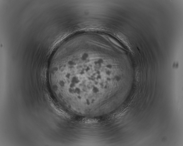 X0000088870491200706291544