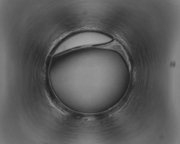 X0000088870492200706291544