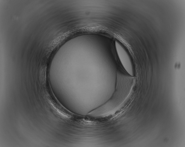 X0000088870493200706291544