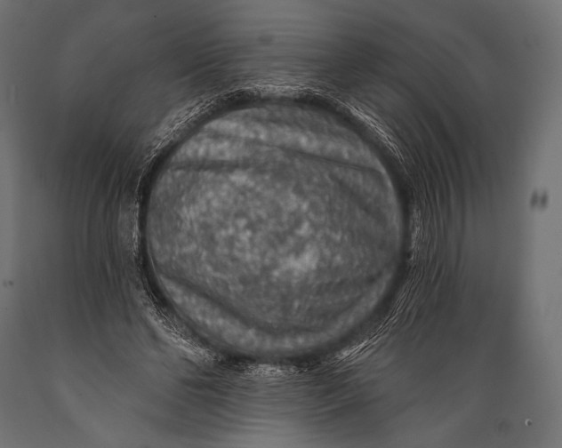 X0000088870494200706291544