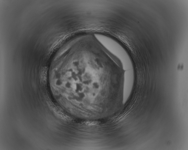 X0000088870495200706291544