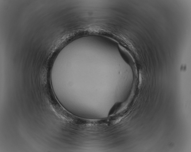 X0000088870496200706291544