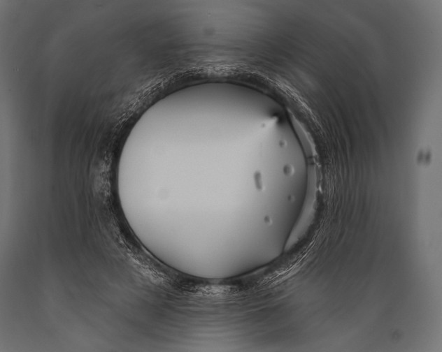 X0000088870497200706291544