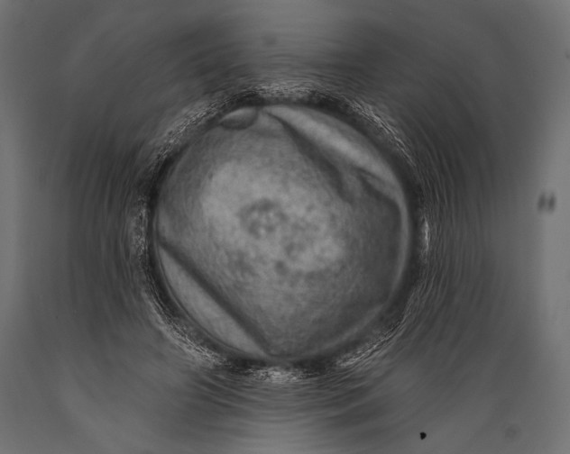 X0000088870498200706291543