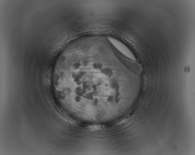 X0000088870499200706291543