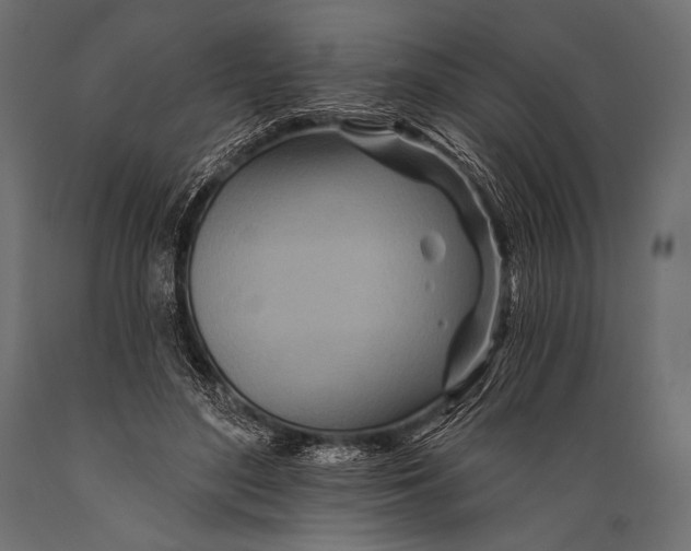 X0000088870500200706291543