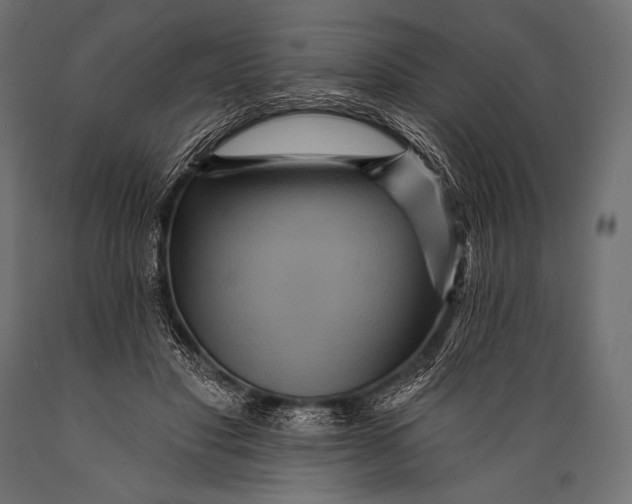 X0000088870501200706291543