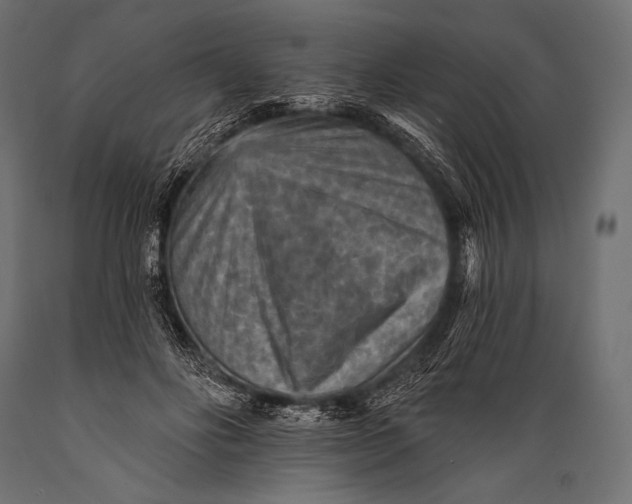 X0000088870502200706291543