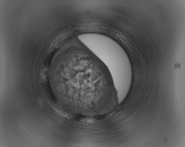 X0000088870503200706291543