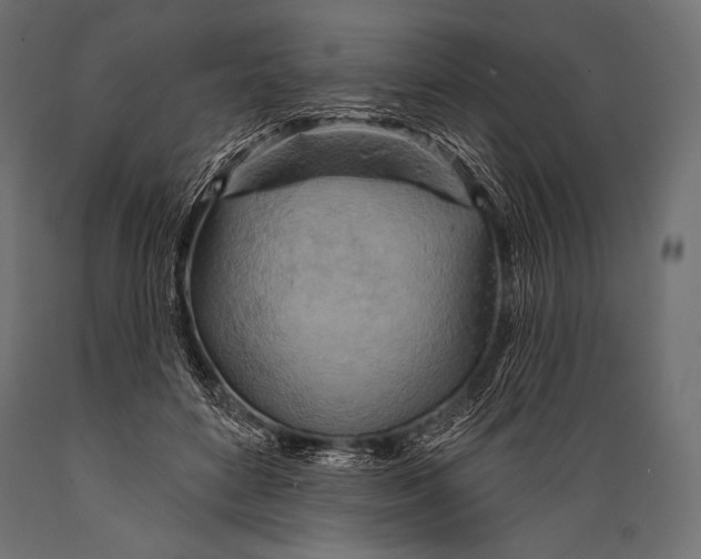 X0000088870504200706291543