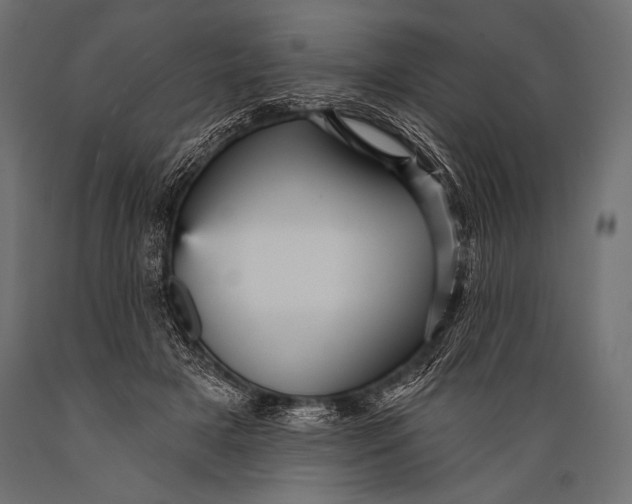 X0000088870505200706291543